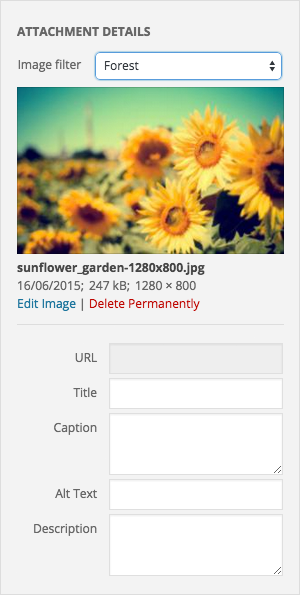 Image Filter Screenshot